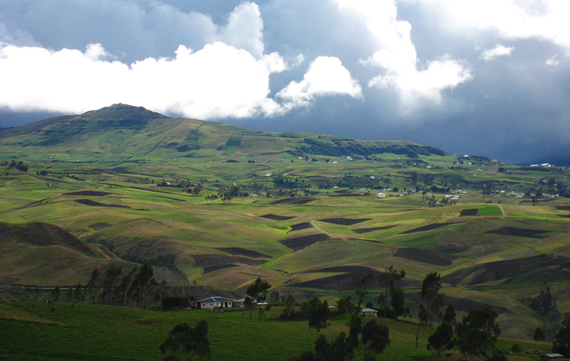 Andean highlands Ecuador Llama Travel