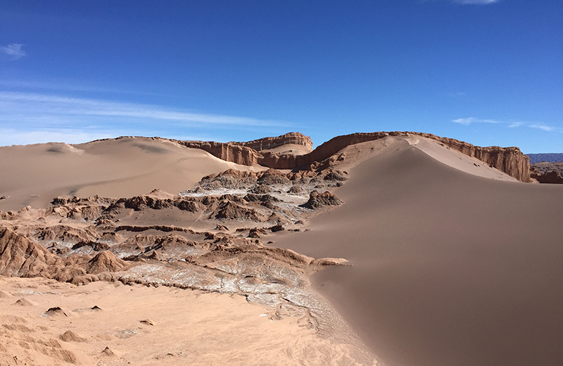 Atacama Desert landscape Chile Llama Travel