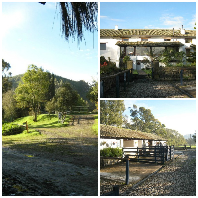 Hacienda Zuleta Llama tRvael property in the morning