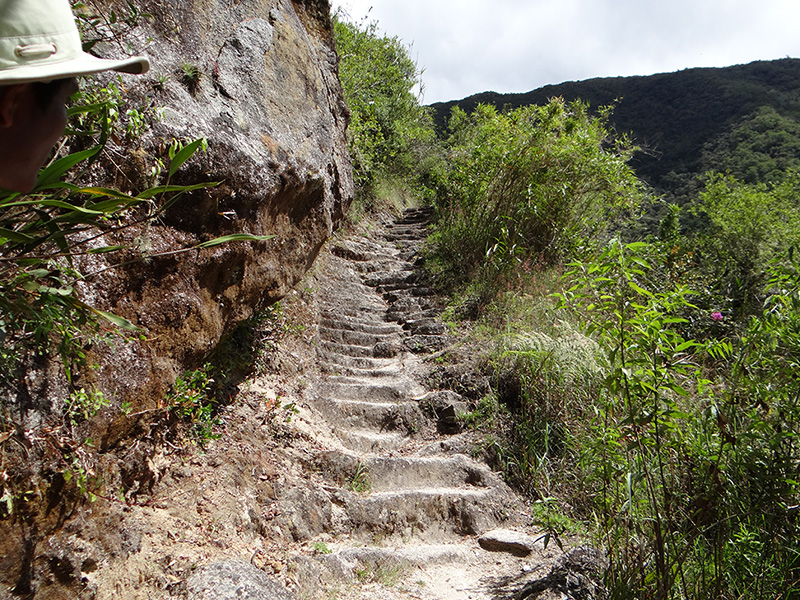 Inca Trail steps 1