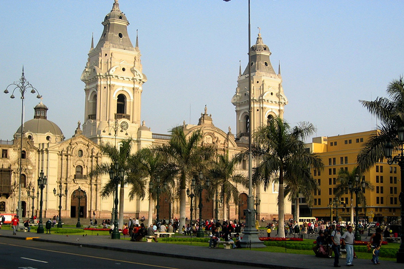 Lima Peru Llama Travel