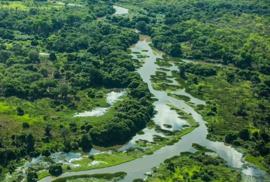 Pantanal Brazil RL
