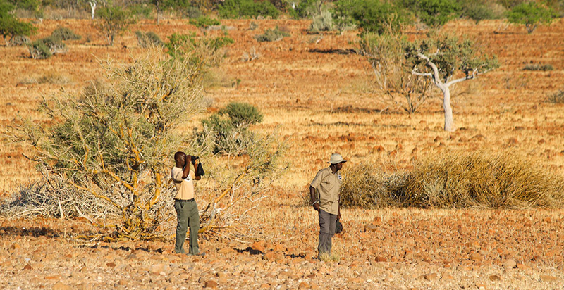 Photo 8 Damaraland rhino tracking Namibia holidays
