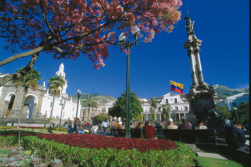 Plaza Grande Quito Ecuador Llama Travel