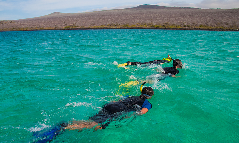 Snorkelling Galapagos Llama Travel