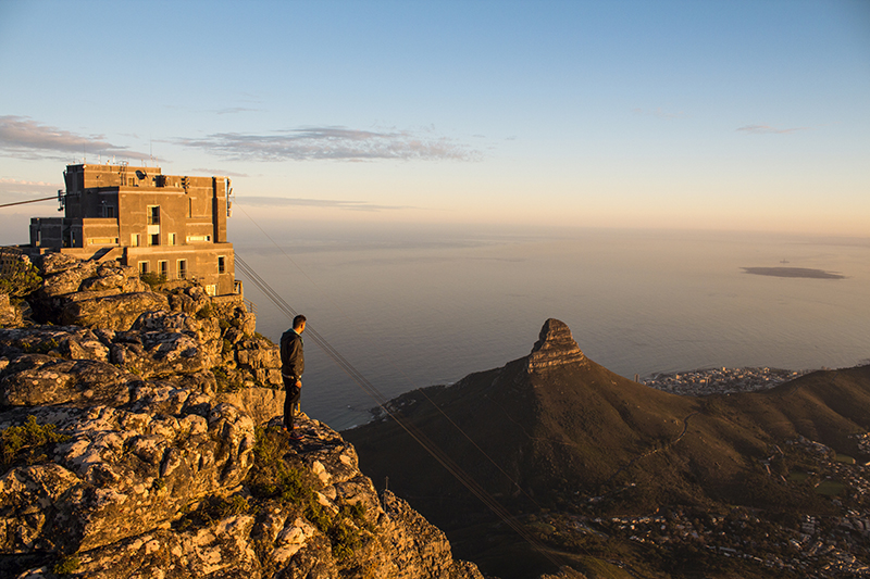 Table Mountain Cape Town South Africa Llama Travel
