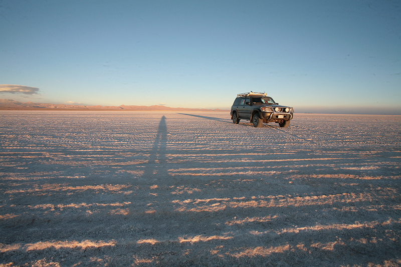 Uyuni Salt Flats Bolivia Llama Travel