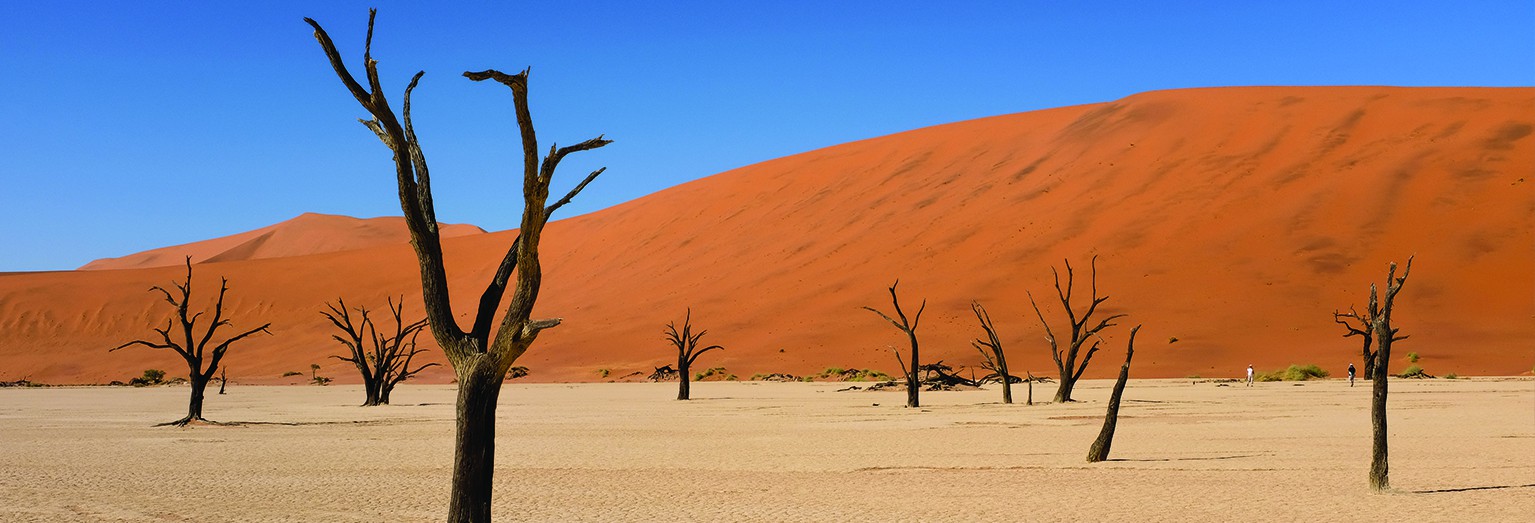 Be inspired by Namibia's landscapes