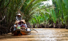 Rowing through the natural canals, Mekong Delta, Vietnam