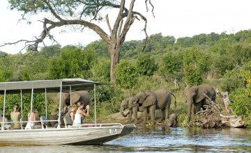 Elephants on boat cruise, Chobe National Park, Botswana