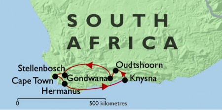 Cape Town & The Garden Route + Gondwana Safari