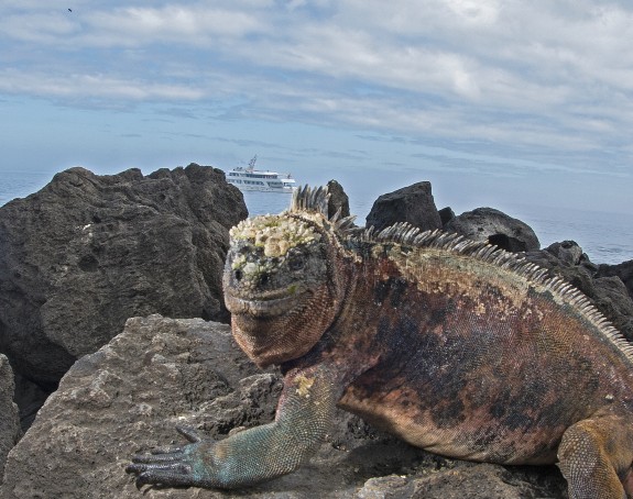 My Top 5 Highlights Of The Galapagos