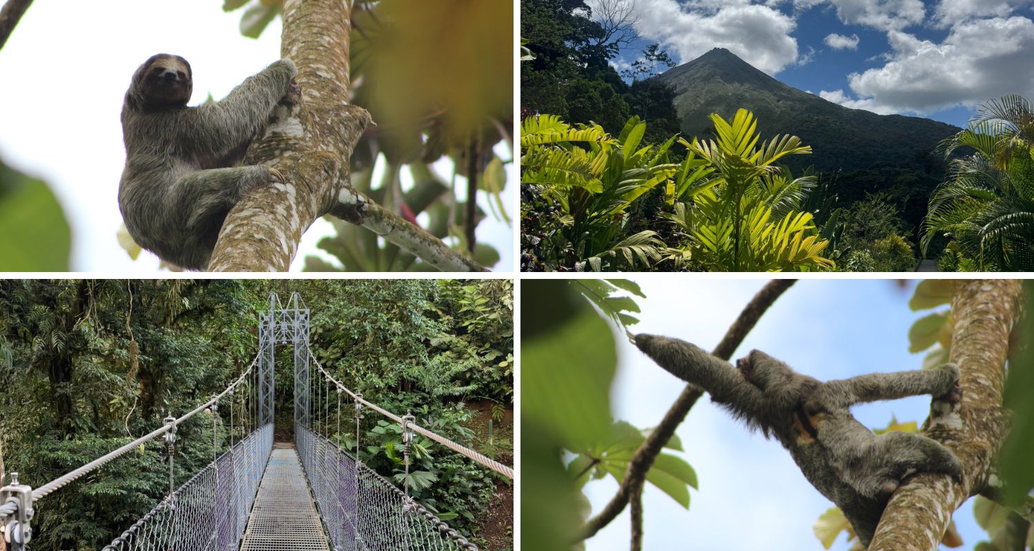A collage of images taken in Arenal, Costa Rica, including two of a sloth, one of Arenal Volcano, and one of a hanging bridge.