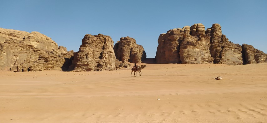 9 Camel Wadi Rum
