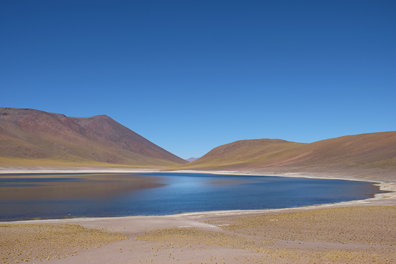 Altiplano lagoons Atacama Desert Chile