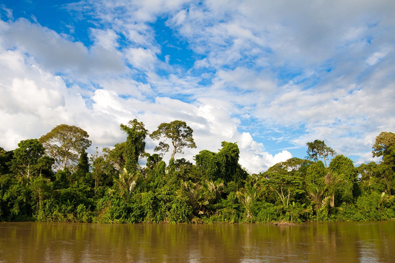 Amazon Peru