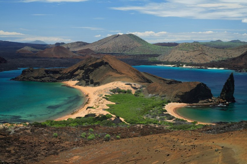 Bartolome Galapagos Llama Travel