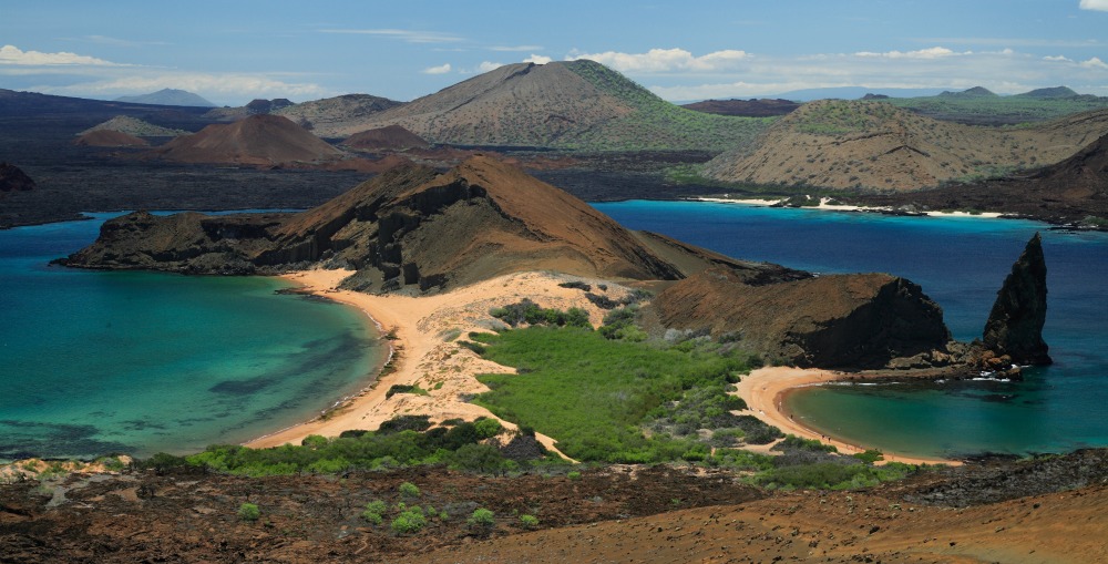 Bartolome Island Galapagos Ecuador Llama Travel