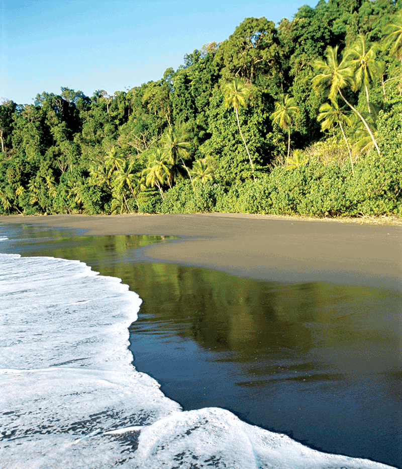 Corcovado Coast Costa Rica Llama Travel