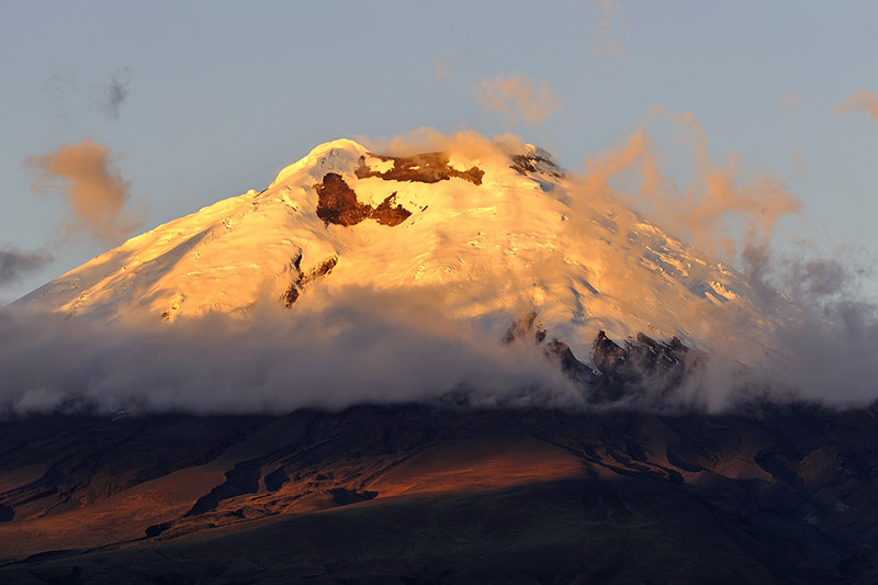 Cotopaxi Ecuador Llama Travel