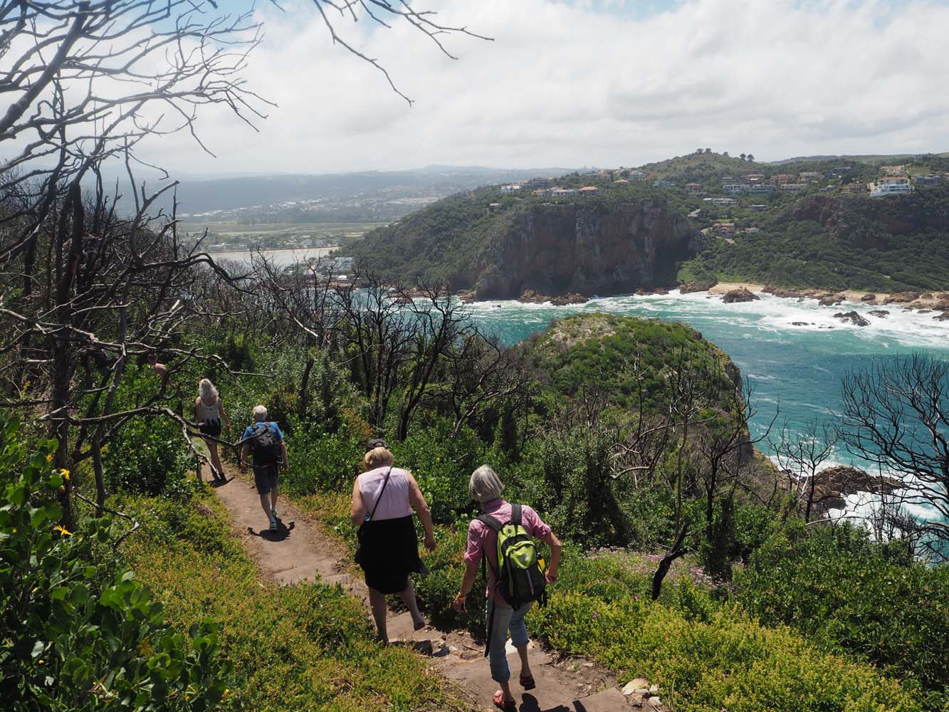 Featherbed Nature Reserve South Africa Luca 5