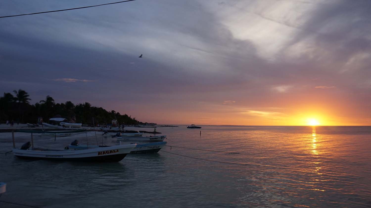 Holbox 2