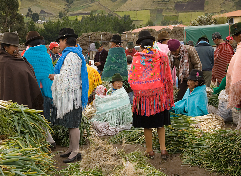 Indigenous market Ecuador