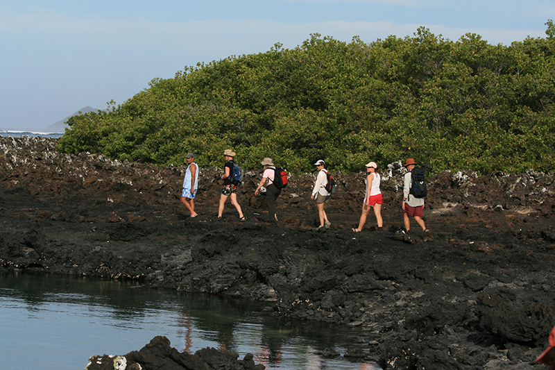 Isabela island 14
