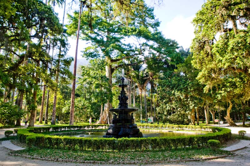 Jardim Botânico Foto Pedro Kirilos 56