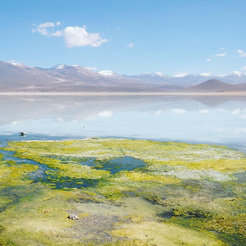 Laguna Blanca Bolivia overland 4