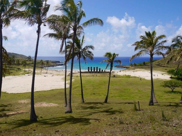 Moai statues in the bay Easter Island Chile Llama Travel