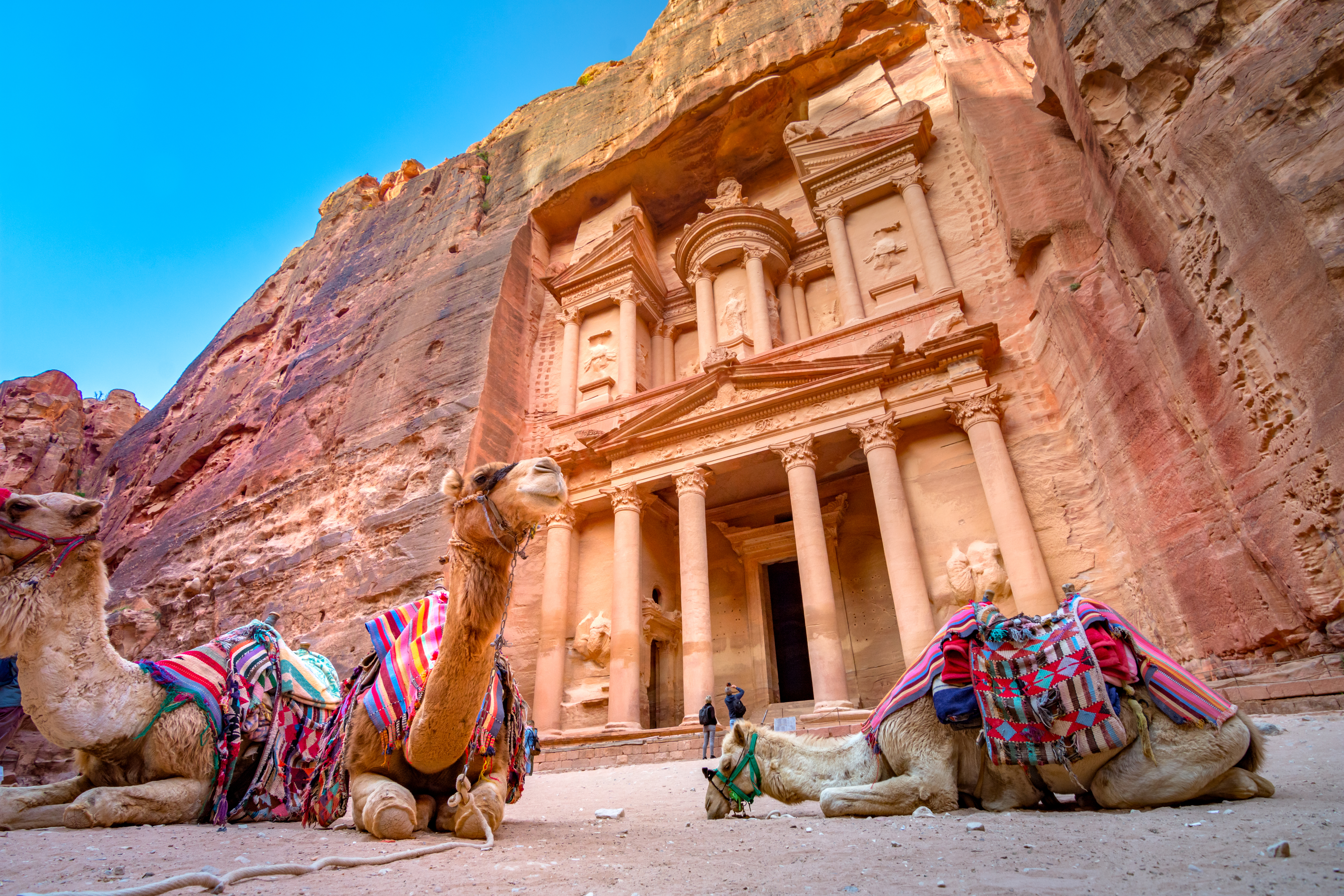 Two camels at Petra.