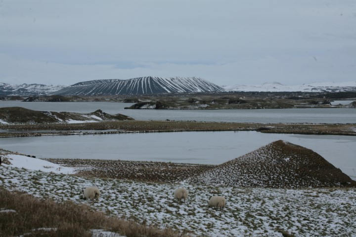 Myvatn pseudo craters 2