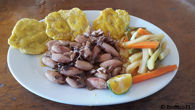 Patacones with ceviche Llama Travel