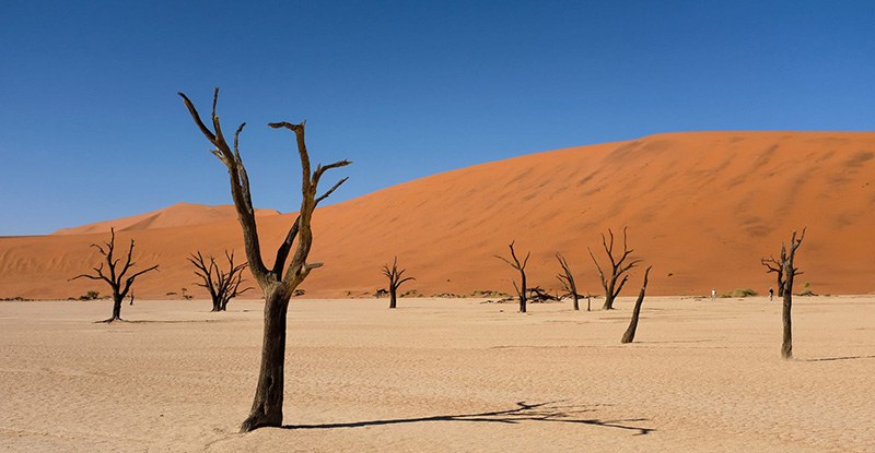 Photo3 Deadvlei Sossusvleu Dunes Namibiajpg
