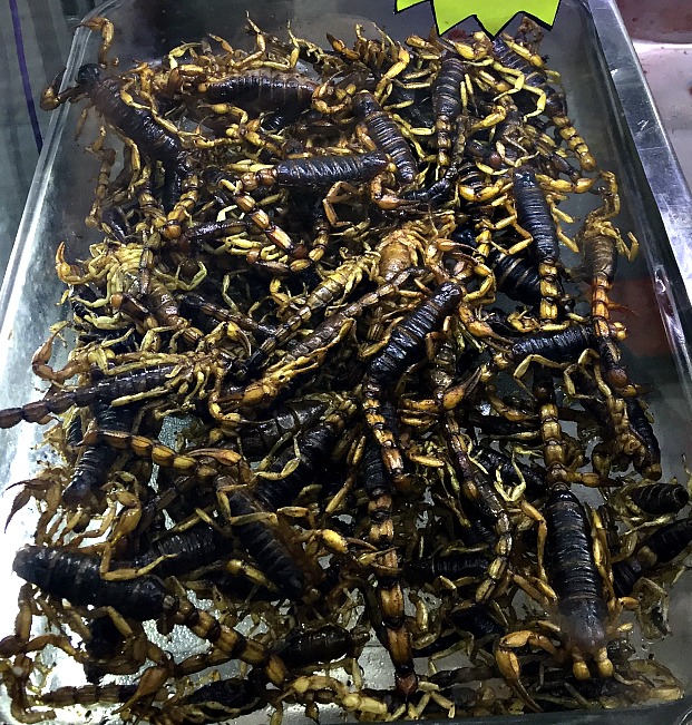 Scorpions Mercado de San Juan Mexico City Llama Travel