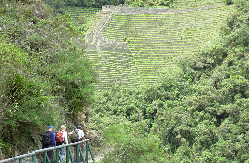 Short Inca Trail Llama Travel