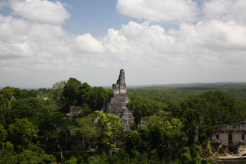 Tikal in the jungle Guatemala Llama Travel