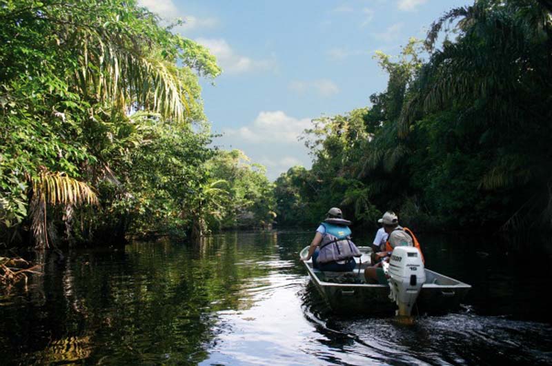 Tortuguero expedition, gay costa rica part three