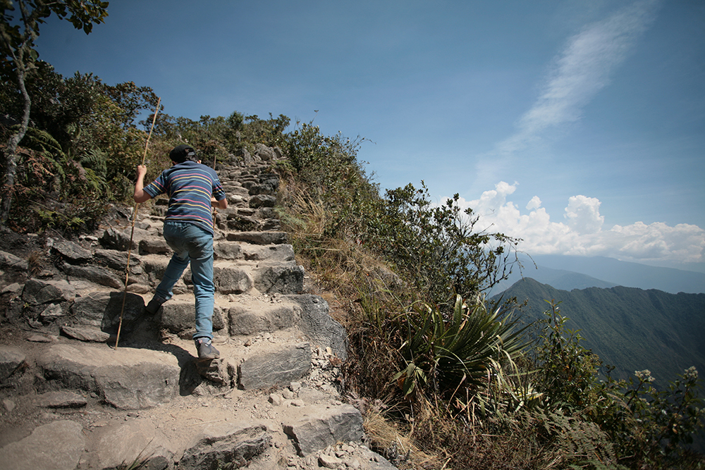 Trail up Machu Picchu Mountain Peru Llama Travel