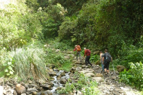 Trekking the Salkantay Trail Peru Llama Travel