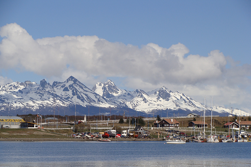 Ushuaia Argentina Llama Travel