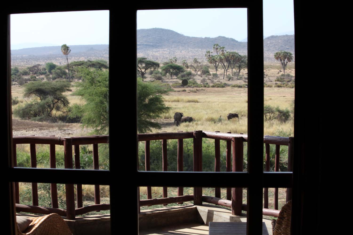 View from room Samburu Simba Lodge Kenya