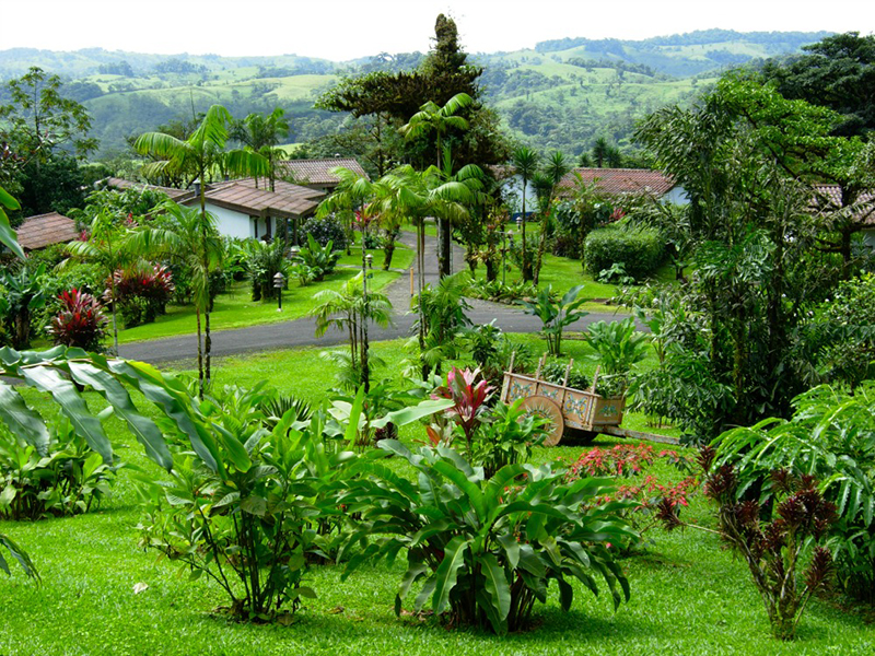 Villa Blanca Cloud Forest Hotel grounds Costa Rica Llama Travel
