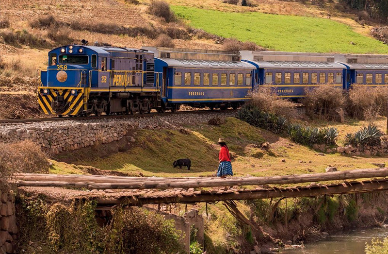 Vistadome train Llama Travel