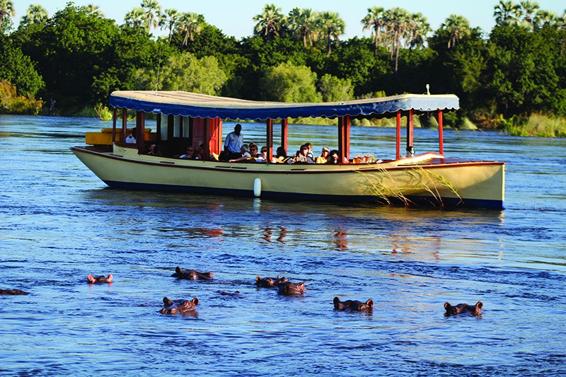 Zambezi cruise