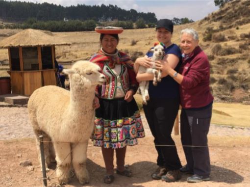 cusco llama