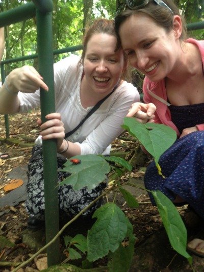 Spotting a Poison Dart frog Tortuguero Costa Rica