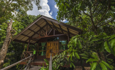 Sepilok Borneo Rainforest Resort