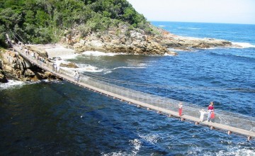 Hanging bridges, Storms River, Tsitsikamma